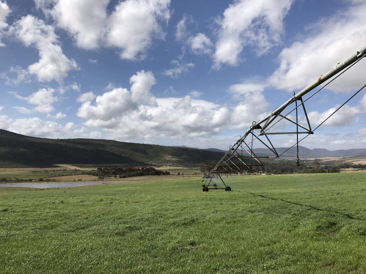 Papiesvlei Goedvertrou Guest Farm מראה חיצוני תמונה